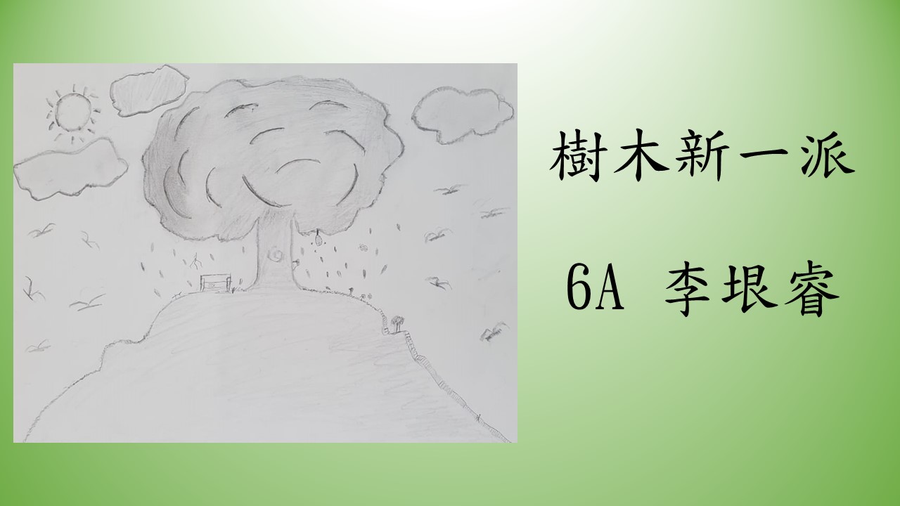 slide-9 slide